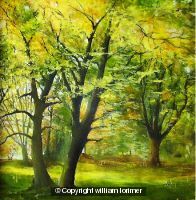 Woodland landscape