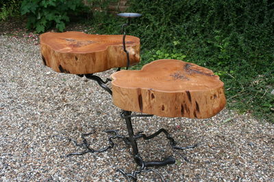 cedar twin root table