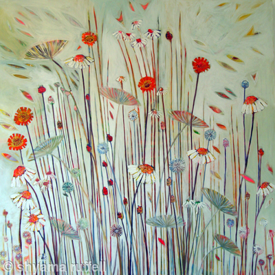daisy-may