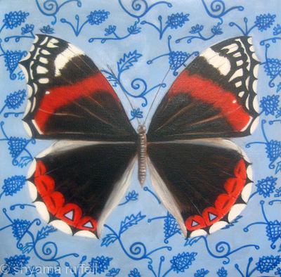 Red Admiral on wall
