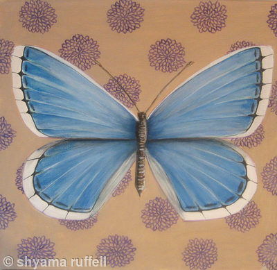 Adonis Blue