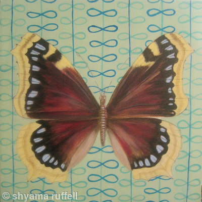 Camberwell Beauty - original painting images butterfly