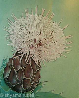 Thistle