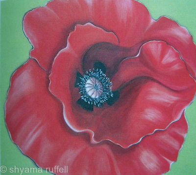 Poppy
