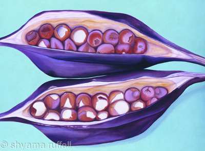 Seedpods