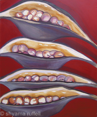 Seedpods Red