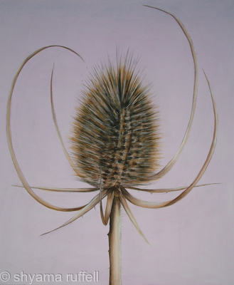 Teasle