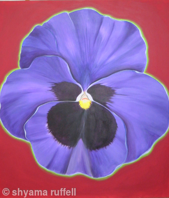 Purple pansy