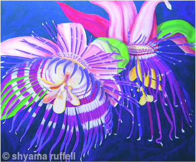 Passion Flower Blue