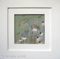 dandy daisy 1