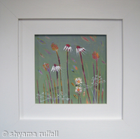 dandy daisy 4