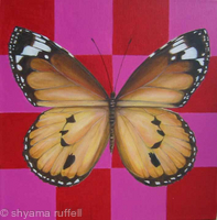 Plain Tiger