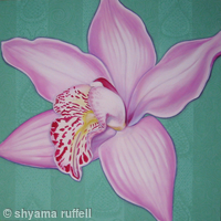 Pink Orchid