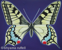 Swallowtail