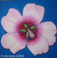 Pink Flower