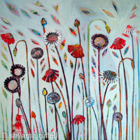 may-fair