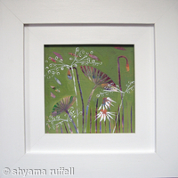 dandy daisy 3