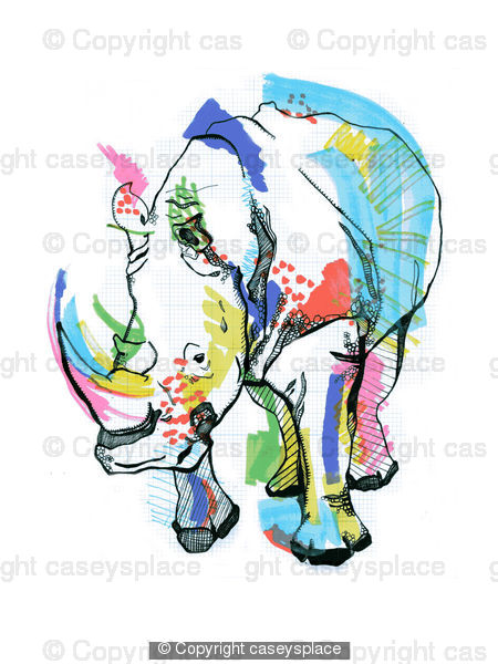 RHINO COLOUR RHINO COLOUR