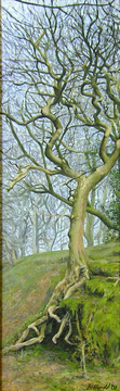 Trees Above Old Dam,  Tigers Clough