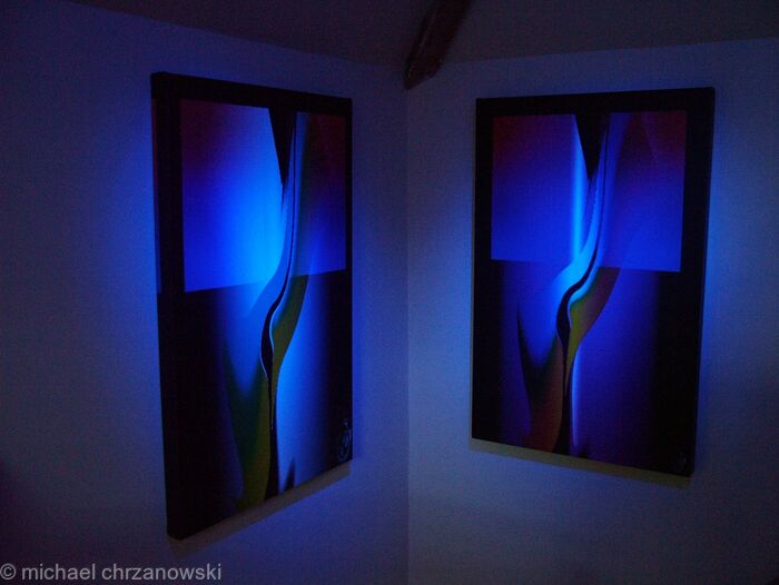 blue nights
