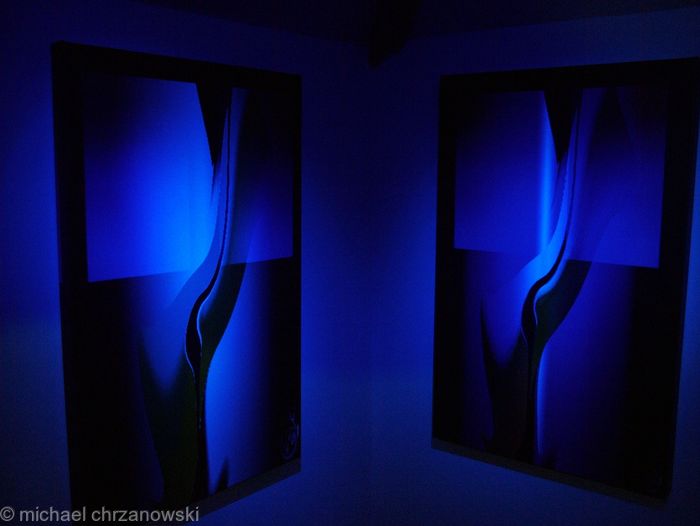 blue nights