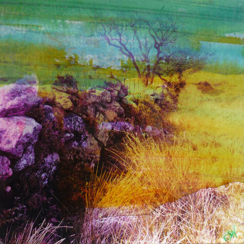 dartmoor-wall