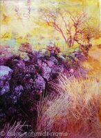 Dartmoor Wall II