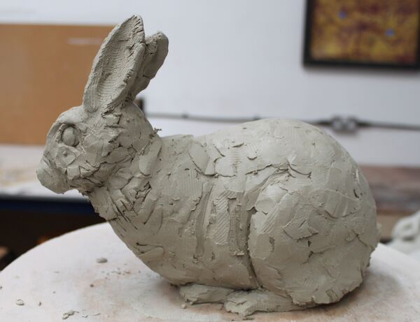 Rabbit by Andrew Brown