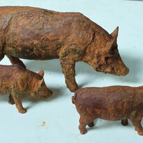 Wild boars by Andrew Brown