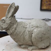 Rabbit by Andrew Brown