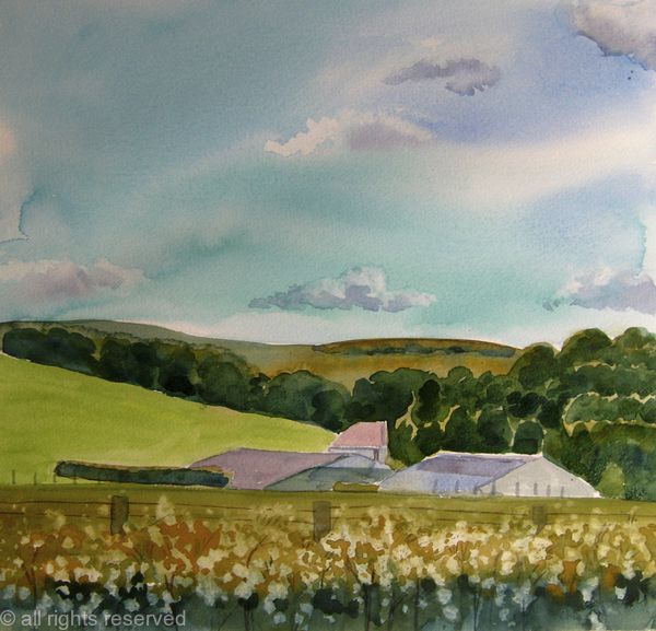 Sussex Farm in summer