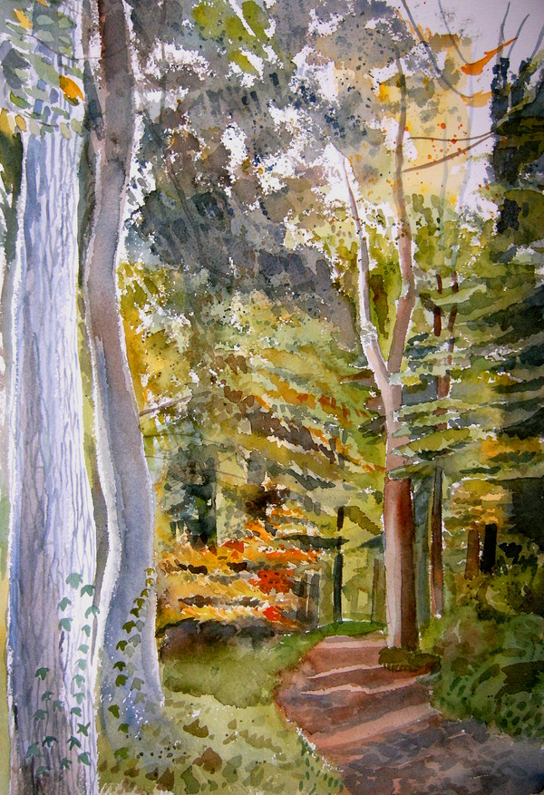 Autumn trees in Sussex
