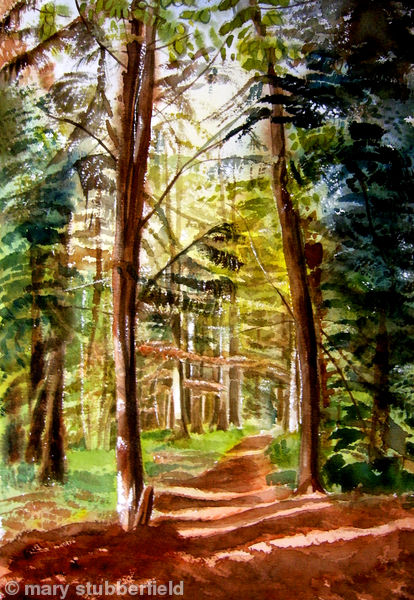 Autumn trees 2