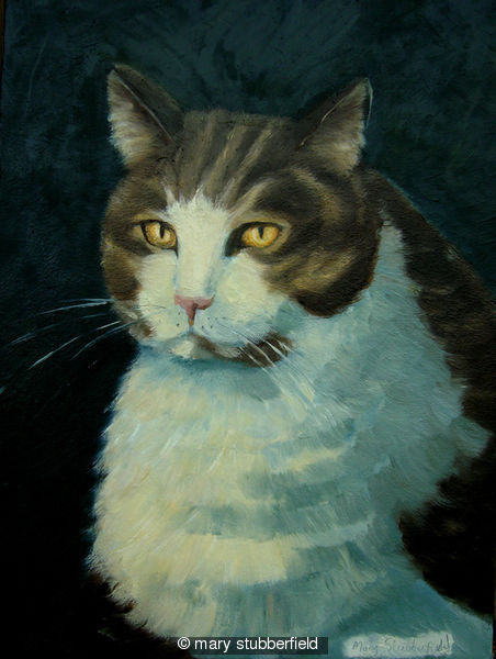 Tabby