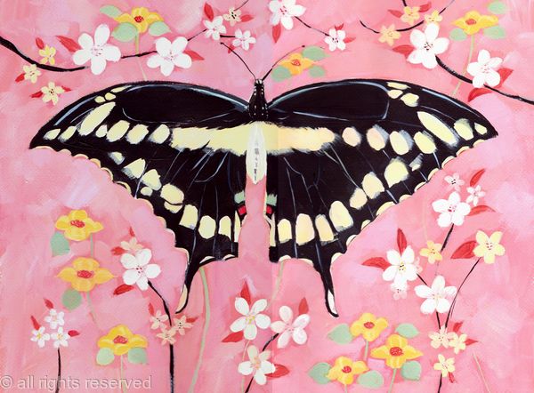 Oriental Butterfly