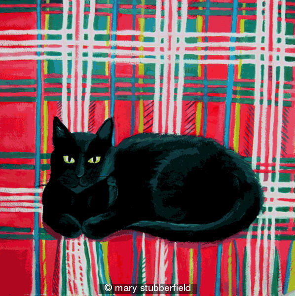 Tilly on tartan