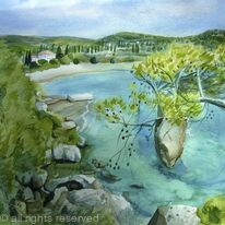Beach with pine trees