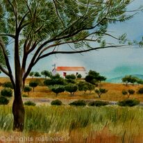 Olive tree in Greece