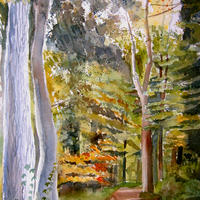 Autumn trees in Sussex
