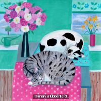 Cats in spring