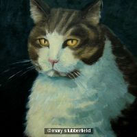 Tabby