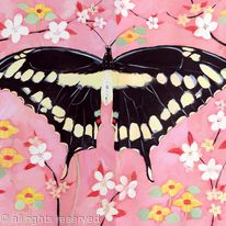 Oriental Butterfly