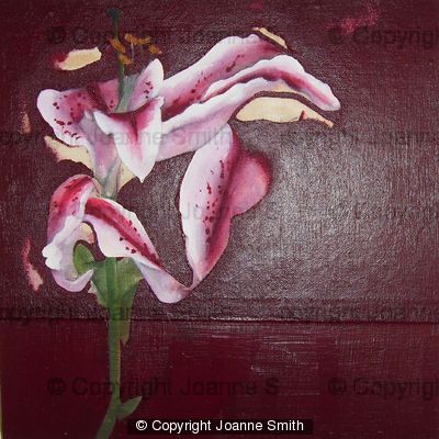 Broken Lilly