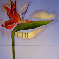 STRELITZIA