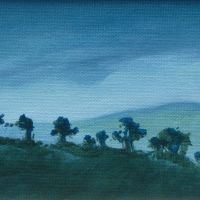 Tree Study 1