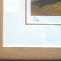 frame close-up