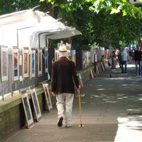 July in the sunshine at Bayswater Road on Sunday
