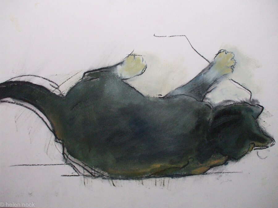 Cat Study I