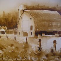 Pine County Barn