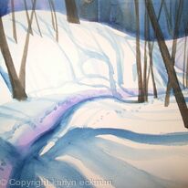 Snow shadows
